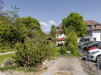 Spatzennest