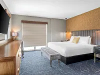 Beacon Suites Hotel Hotels near Harvard Square