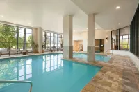 Embassy Suites by Hilton Phoenix Downtown North - Pools