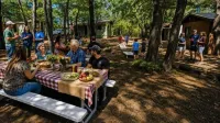 Hidden Rest Cabins and Resort - Homestays