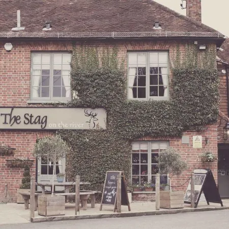 The Stag on the River