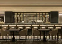 King Jason Zante – Designed for Adults - 5-Star