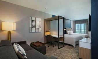 SpringHill Suites by Marriott Austin North
