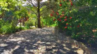 Quinta da Ermida - Turismo de Habitacao Hôtels à : Gestaçô