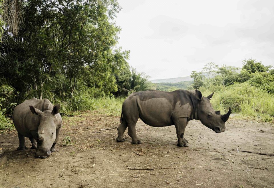 풀먼 킨샤사 그랜드 호텔 전경