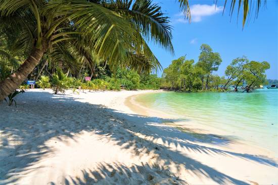 Havelock Island Beach Resort Room Reviews Photos Havelock Island 2021 Deals Price Trip Com
