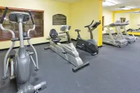 Holiday Inn Express & Suites IRVING DFW AIRPORT NORTH by IHG - Gym