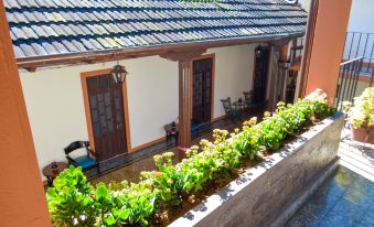 Hotel Villa de Flores
