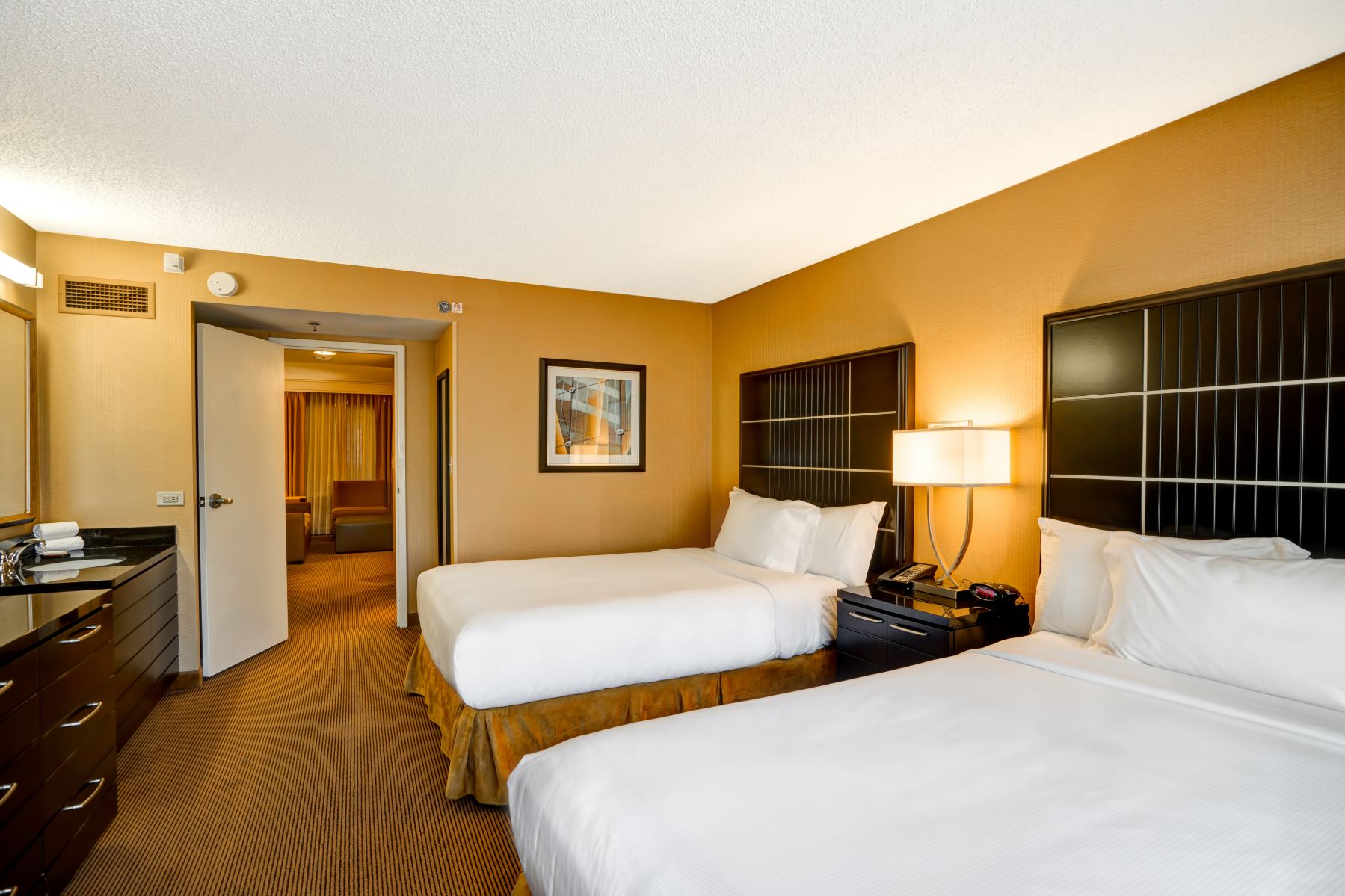 Embassy Suites by Hilton Chicago Downtown River North