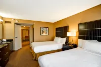 Embassy Suites by Hilton Chicago Downtown River North - Pools