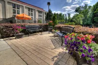 Hampton Inn Rocky Mount Hotels in Stony Creek