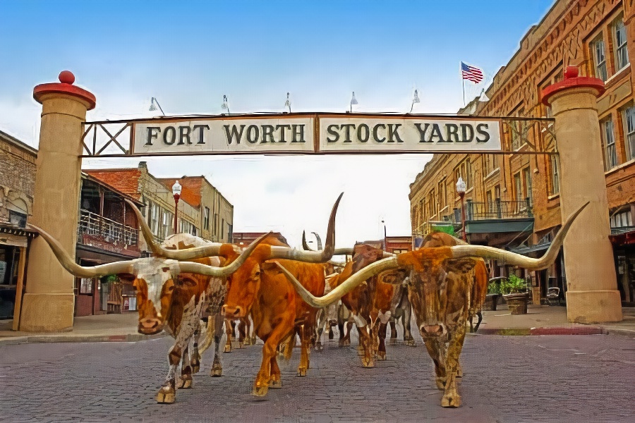 Holiday Inn Express Hotel & Suites Fort Worth Southwest I-20, an Ihg Hotel