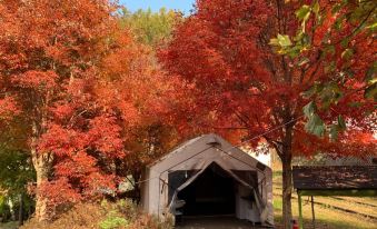 Chuncheon (Nami Island) Forest Glamping Pension