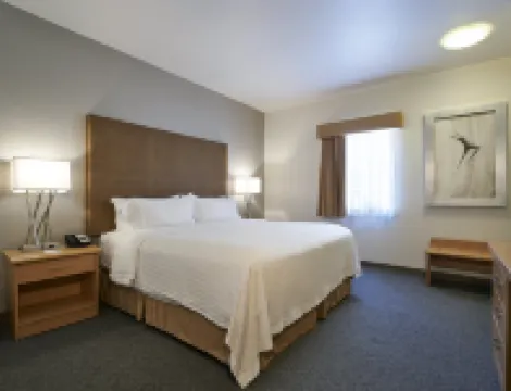 Holiday Inn & Suites 奇瓦瓦 酒店