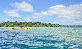 a man is paddling a yellow kayak on a body of water , surrounded by lush green trees and a clear blue sky at Turtle Bay Lodge