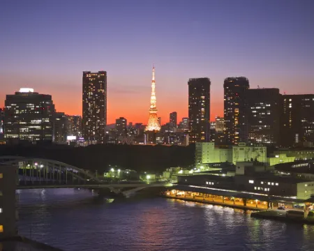 The Blossom Hibiya Near Hotel Photos