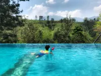 Chateau Woods Kerala Hotels near Tropical camping