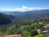 Fedriades Delphi Hotel - Scenic