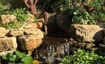 a small pond surrounded by rocks and plants , with a waterfall cascading down into it at Dragonfly Bed and Breakfast