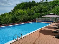 pingjiang shangshan xiaoyin Resort - Pools