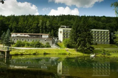 Hotel Schwarzbachtal Hideaway Отели в г. Бад-Брамбах