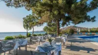 Delfinia Hotel & Bungalows Hotels in Petra