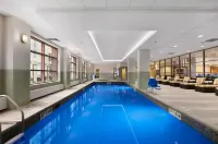 Embassy Suites by Hilton Chicago Downtown River North - Kolam Renang