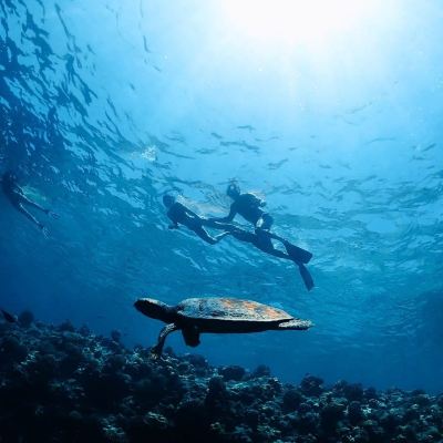 その他 アンサナ イフル モルディブの写真