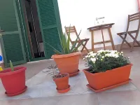 Il Cavalliere Bed & breakfast