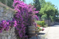B&B Il Grappolo