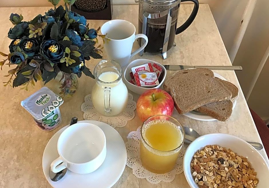 아폴로 모텔 크라이스트처치