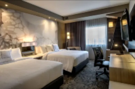 Courtyard San Luis Potosi, Los Lagos Hotels in 