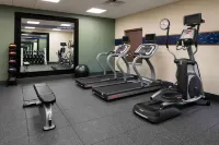 Hampton Inn and Suites Hudson - gimnasio