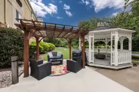 Sonesta Simply Suites Hampton Hotels in Hampton