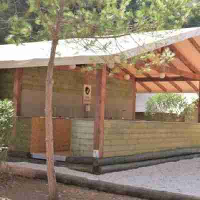 Salema Eco Camp - Sustainable Camping & Glamping Rooms