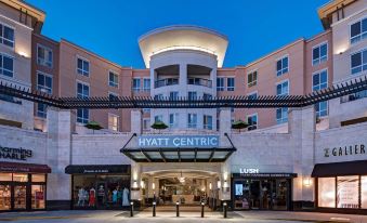 Hyatt Centric the Woodlands