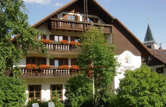 普法芬温克爾阿爾卑斯山酒店