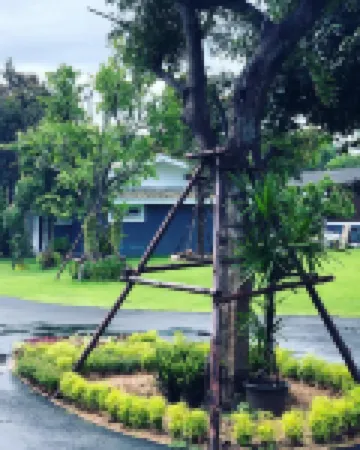 บ้านจามจุรี รีสอร์ท สัตหีบ