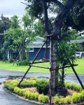 Bannjamjuree Resort Sattahip