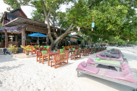 Greenplace-Samed Seahorse