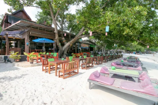 Greenplace-Samed Seahorse