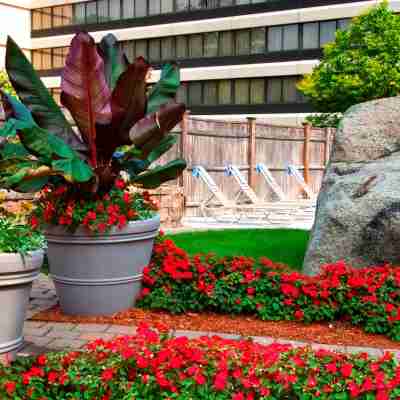 Boston Marriott Peabody Hotel Exterior