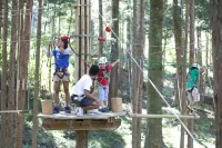 Auberge Albireo