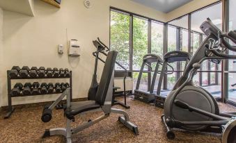 a well - equipped gym with various exercise equipment , including treadmills and weight machines , near large windows that offer views of the outdoors at Quality Inn & Suites Bay Front