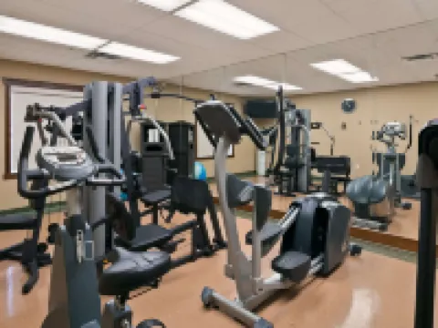 Best Western Diamond Inn Hotels in Three Hills