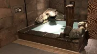 Dormy Inn Osaka Tanimachi - suối nước nóng