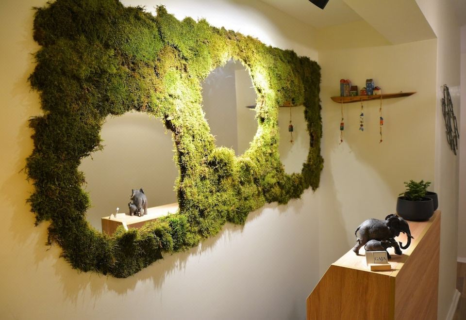 가자 아이바릭의 아늑한 정원 전경