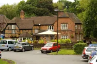 Woking West (A324) Hotel in zona Church Of The Good Shepherd