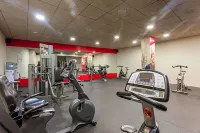 Hotel Abades Nevada Palace - gimnasio