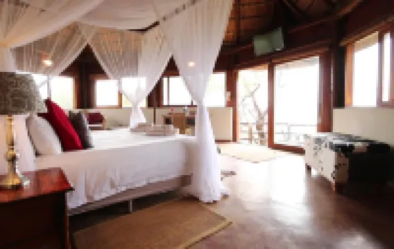 莎亞摩耶老虎捕魚娛樂小屋